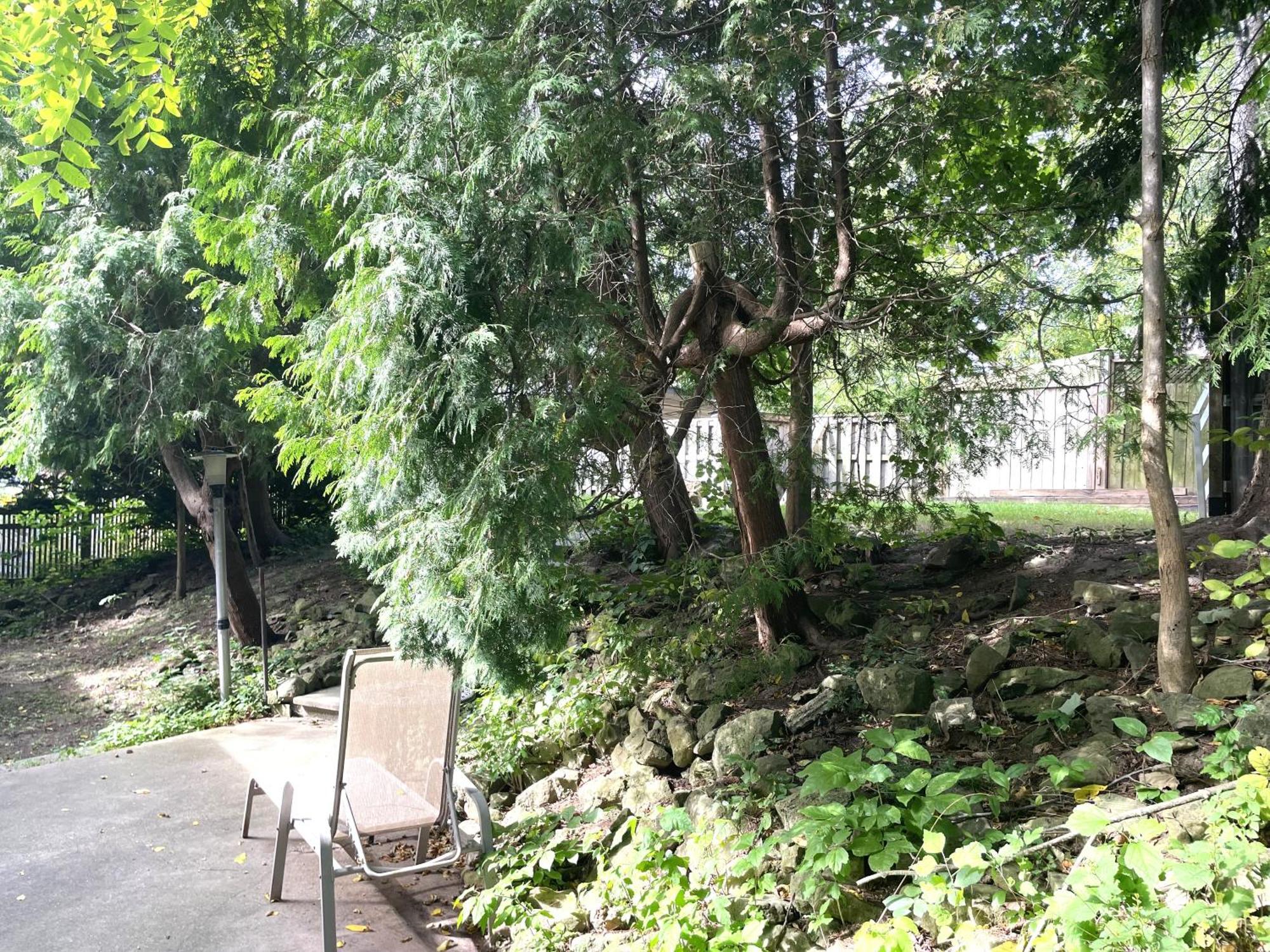 Niagara Riverview Closest To Falls, Free Breakfast Delivered Daily Exterior foto